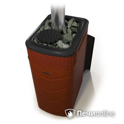 Дровяная банная печь TMF Гейзер XXL 2017 Inox Витра закрытая каменка терракота в Улан-Удэ